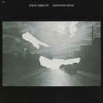 Steve Tibbetts - Northern Song