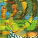 Mercury Rev - Yerself is steam special edition