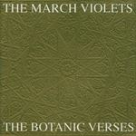 March Violets - Botanic verses
