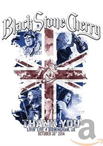 Black Stone Cherry - Livin' Live - Birmingham, Uk