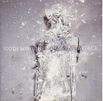 Massive Attack - 100th window