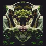 Midlake - The Courage Of Others