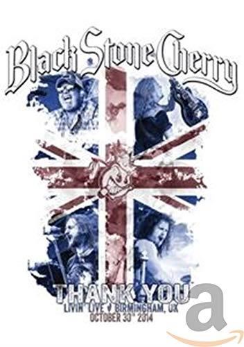 Black Stone Cherry - Livin' Live - Birmingham, Uk