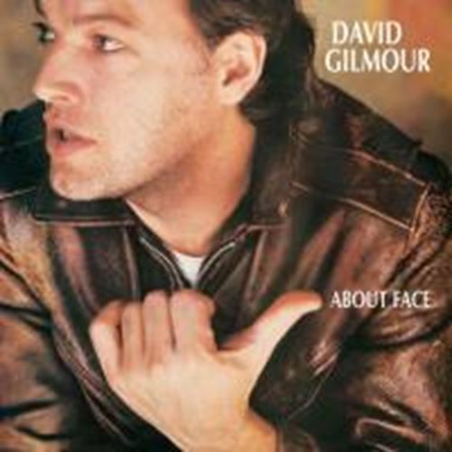 David Gilmour - About face