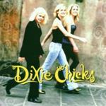 Dixie Chicks - Wide open space