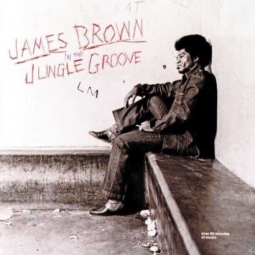 James Brown - In the jungle groove