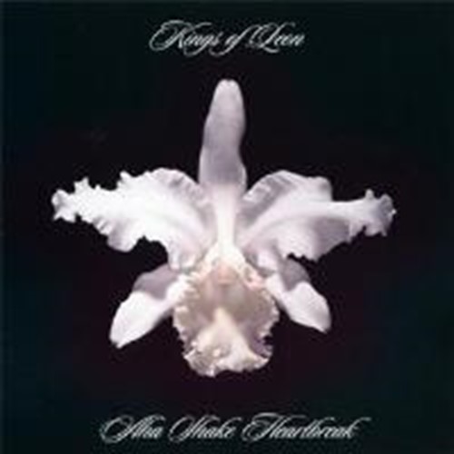 Kings of Leon - A Ha Shake Heartbreak