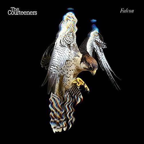 Courteeners - Falcon