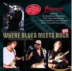 Various - Where Blues Meets Rock Vol.8