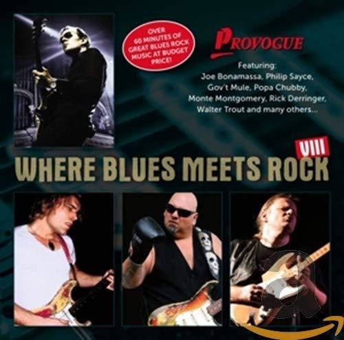 Various - Where Blues Meets Rock Vol.8