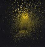 Antlers - Burst Apart