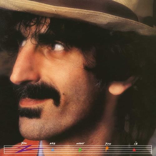 Frank Zappa - You Are What You Is