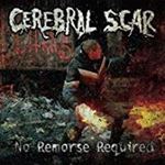 Cerebral Scar - No Remorse Required