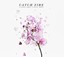 Catch fire - A Love That I Still Miss
