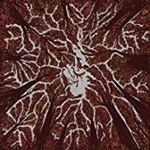 Trash Boat - Crown Shyness