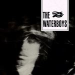 Waterboys - The Waterboys