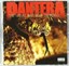 Pantera - Great southern trendkill