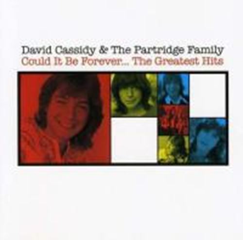 David Cassidy - Could it be forever