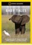 National Geographic: Baby Tales - Film