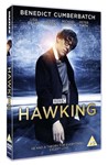 Hawking - Benedict Cumberbatch