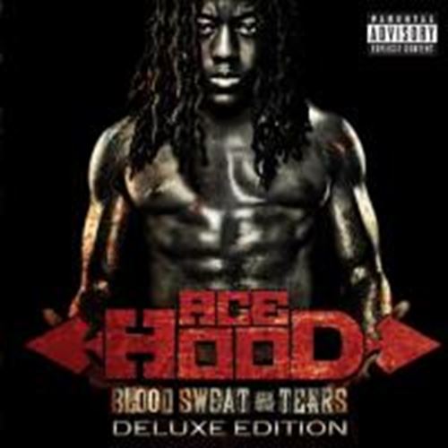 Ace Hood - Blood Sweat And Tears