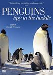 Penguins - Spy In The Huddle - David Tennant