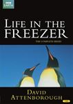 Life in a Freezer - David Attenborough