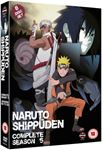 Naruto Shippuden: Series 5 - Film