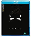 Blackfish - Kim Ashdown
