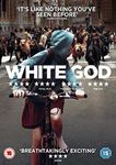 White God [2015] - Zsófia Psotta