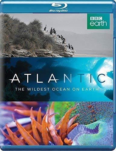 Atlantic: Wildest Ocean On Earth - Cillian Murphy