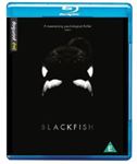 Blackfish - Kim Ashdown