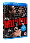 Wwe: Hell In A Cell 2013 - John Cena