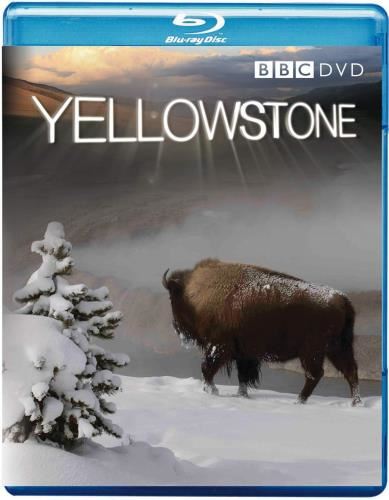 Yellowstone - Peter Firth