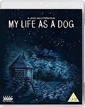 My Life As A Dog - Anton Glanzelius
