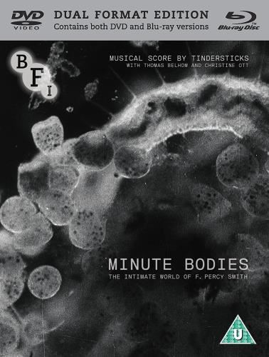 Minute Bodies: Intimate World Of F. - Film