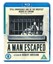 A Man Escaped [2018] - François Leterrier