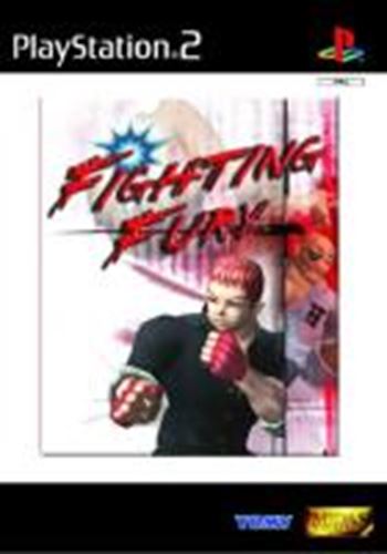 Fighting Fury - Game