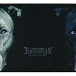 Rantanplan - Stay Rudel - Stay Rebel