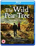 The Wild Pear Tree [2019] - Aydin Dogu Demirkol