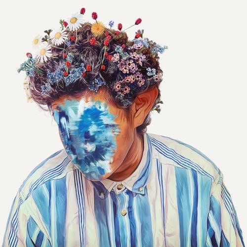 Hobo Johnson - The Fall Of