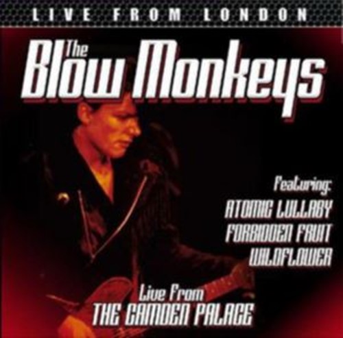 Blow Monkeys - Live From London