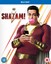 Shazam! [2019] - Asher Angel