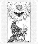 Enisum - Moth’s Illusion