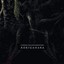 Flowers For Bodysnatchers - Aokigahara