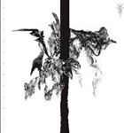 Sutekh Hexen - Sutekh Hexen