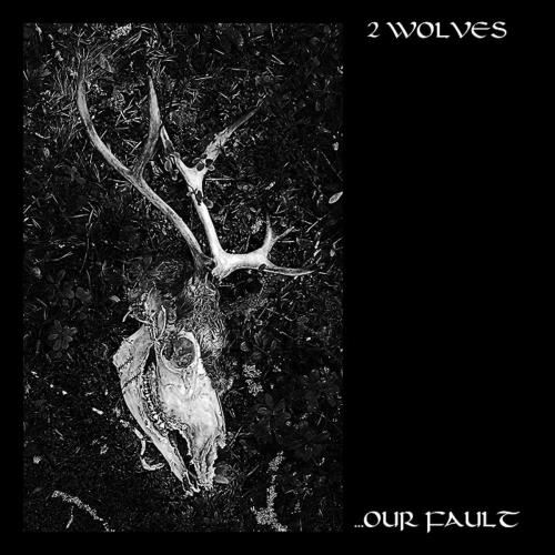 2 Wolves - Our Fault