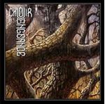 Choir Of Vengeance - The Choir Of Vengeance