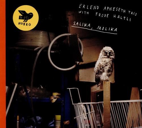 Erlend Apneseth Trio/frode Haltli - Salika, Molika