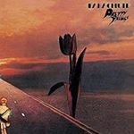 Pretty Things - Parachute